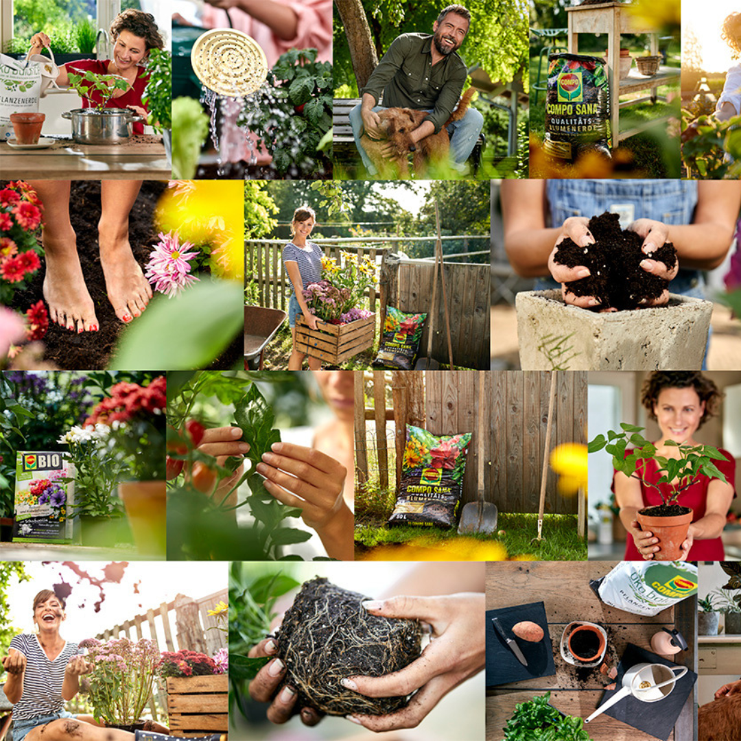 Gartenberatungstag Compo