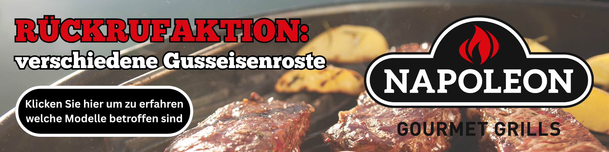 Rückruf Aktion Napoleon Grillrost